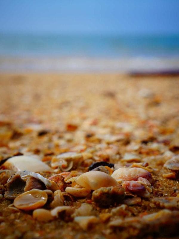 Microplastics Fact Sheet